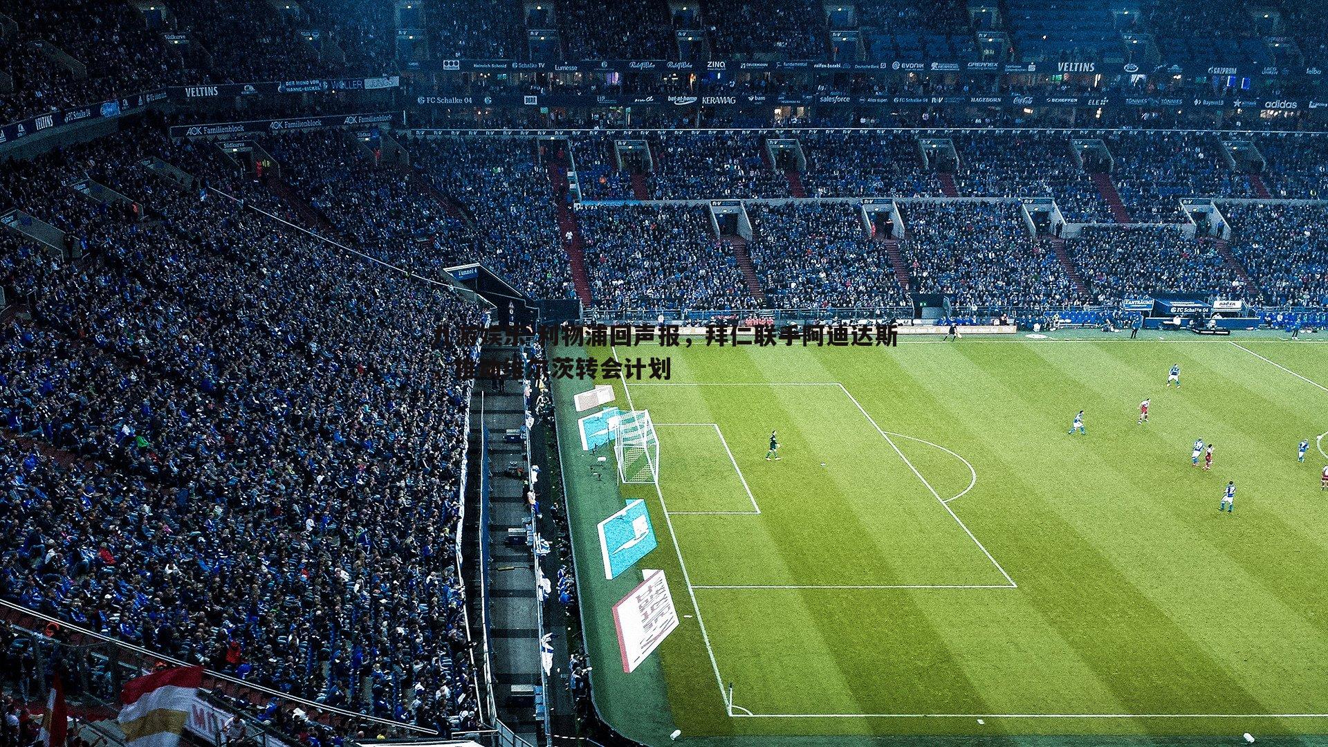 利物浦回声报,拜仁联手阿迪达斯,推动维尔茨转会计划